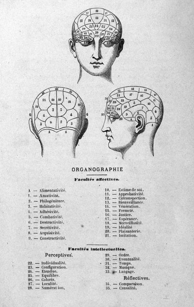 illustrasjon fra Charles Rouvins bok fra 1873 Organographie La Tête humaine, illustrerte studier av frenologi og fysionomi brukt på kjente karakterer Paris 1873 av Unknown artist