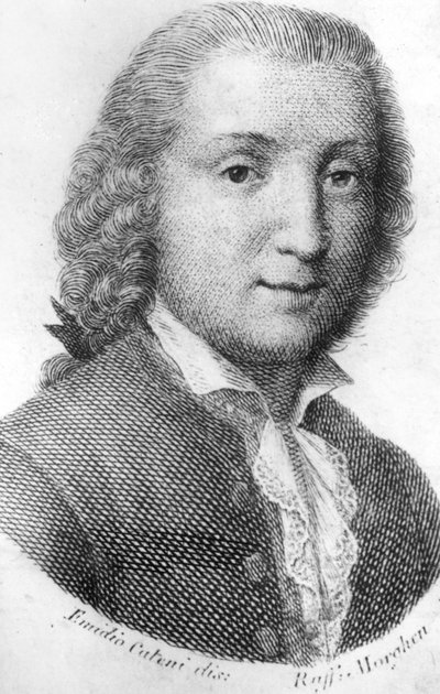 portrait of Carlo Goldoni (1707-1793), Italian dramatic author. av Unknown artist