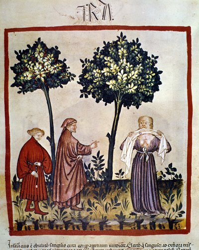 rabies eller sint person som klemmer vev mellom tennene. Belysning av det 14. århundre av "Tacuinum Sanitatis", Wien, Nasjonalbiblioteket. av Unknown artist