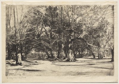 En by-road i Tipperary av Unknown artist