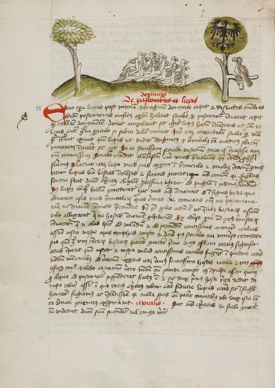 En flokk fugler under et tre, inkludert en kronet ørn med et heraldisk blazon på vingene av Unknown artist