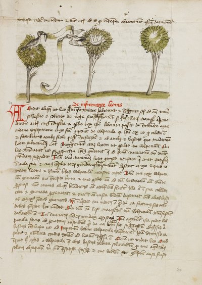 En hønehauk i et tre og en nattergal som flyr vekk fra reiret sitt av Unknown artist