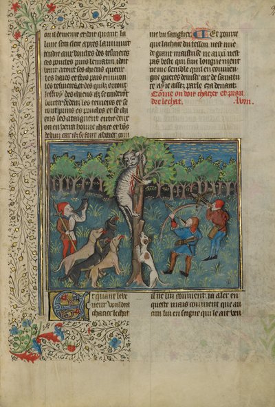 En jeger og hunder angriper en villkatt i tre av Unknown artist