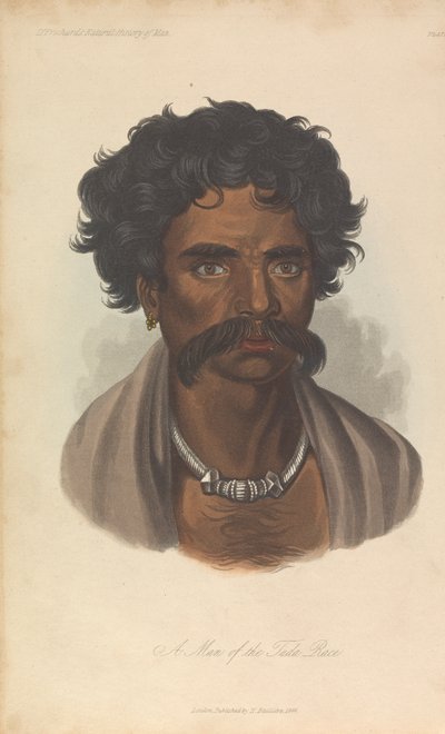 A Man of the Tuda Race av Unknown artist