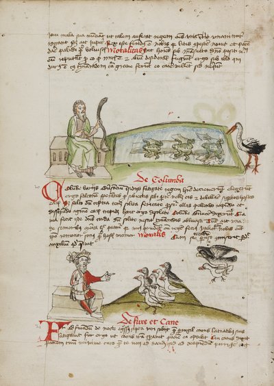 En mann med en slange i hånden; en konge som taler til en flokk med duer av Unknown artist