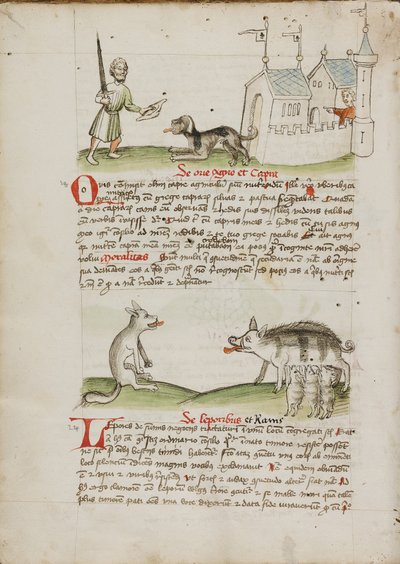 En mann med et sverd og en hund med et bein; En ulv og en gris av Unknown artist