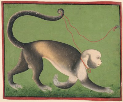 Et monumentalt portrett av en ape av Unknown artist