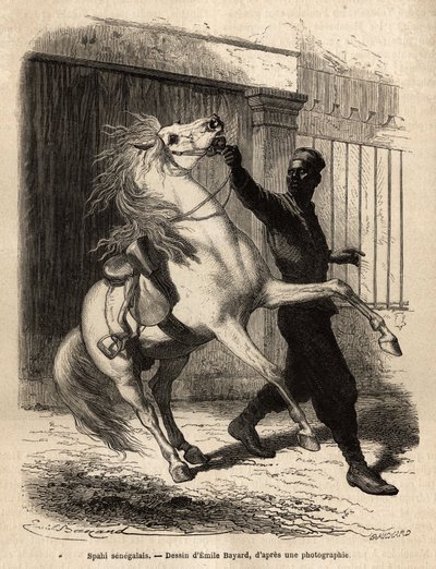 En senegalesisk spahi (cavalier) i Saint-Louis (Saint Louis). Gravering for å illustrere et cruise på kysten av Afrika, av viseadmiral Fleuriot de Langle, i 1868, publisert i "" Le tour du monde""" 1872, redigert av Edouard Charton, utgave Hachette, Paris. av Unknown artist
