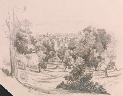 Utsikt over Danbury Park av Unknown artist
