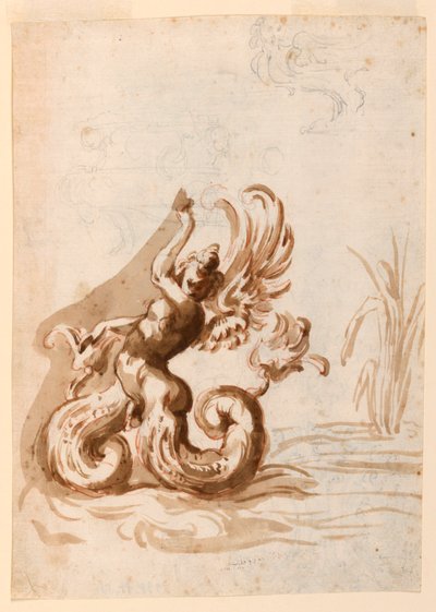 En bevinget Mer Hermafroditt og skisser for en bolle av Unknown artist