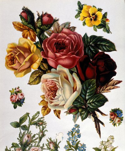 En bukett roser. 1800-talls kromolitografi. av Unknown artist
