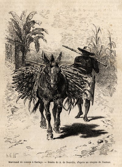 En stokkhandler og muldyret hans i Cartago (Costa Rica), den eneste kjøpmannen som animerer de tomme gatene i byen. Gravering for å illustrere reisen til New Granada, av Dr. Saffray, i 1869, publisert i "" Le tour du monde""" 1873, redigert av Edouard Char av Unknown artist