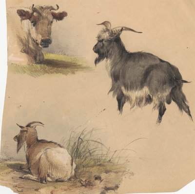 En ku og to geiter av Unknown artist