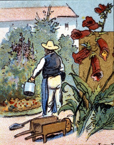 En gartner, kromolitografi av Unknown artist