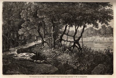 En hengebro i Terai ("Våtmark"), dette området med marecagode enger danner bunnen av Himalaya og grenser til Nepal sør for den indiske grensen. Gravering for å illustrere utforskningen av Øvre Asia fra 1854 til 1857, av Schlagintweits brødre, av Unknown artist
