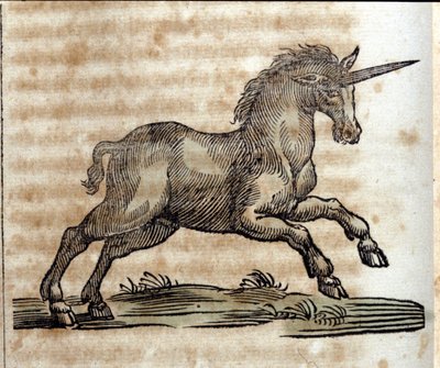 En enhjørning eller enhjørning, mytologisk dyr - Gravering fra et verk av Athanasius Kircher (1601-1680), jesuite, orientalist og tysk lærd av Unknown artist
