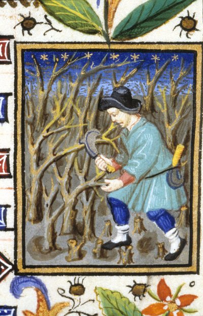Allegorisk fremstilling av mars. En mann som skjærer busker (tegning). Miniatyr av et manuskript fra 1300-tallet. av Unknown artist