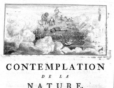 Allegorisk representasjon av utviklingen av Man of minerals, passerer gjennom plante- og dyrearter Charles Bonnet, Contemplation of Nature, Neuchatel av Unknown artist