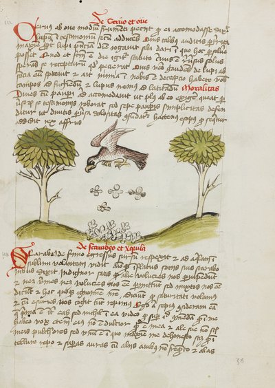 En ørn som flyr over en sverm av insekter av Unknown artist