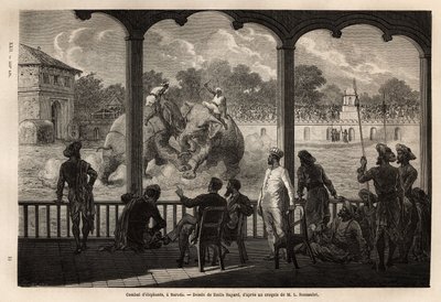 En elefantkamp, i Baroda (eller Vadodara), delstaten Gujarat på nordøstkysten av India. Gravering for å illustrere reise i India av Rajahs, av Louis Rousselet, i 1864-1868, publisert i "" Le tour du monde""" 1870-1871, redigert av Edouard Charto av Unknown artist