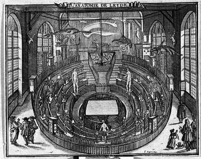 Anatomisk teater ved Universitetet i Leiden, slutten av 1600-tallet. av Unknown artist