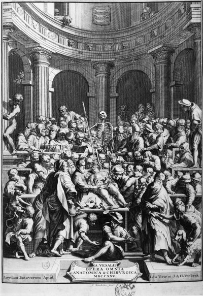 André Vésale (1514-1564), grunnlegger av moderne anatomi, lærer i anatomi og kirurgi (på latin: Andrea Vesalius, på nederlandsk: Andries Van Wesel). av Unknown artist