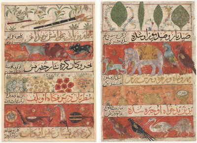 Dyr, edelstener, mynter og musikkinstrumenter (recto); Dyr, fugler og planter (verso) fra en Mu