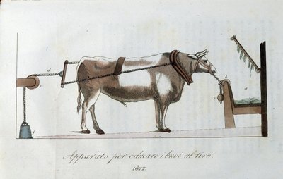 Apparat for å venne okser til snøret. Plate hentet fra "" Journal of agriculture, arts and techniques "" (Revue d