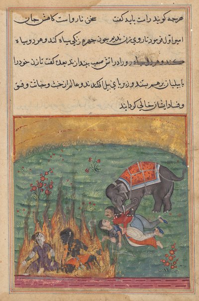 Som straff blir narrens kone og Zangi kastet i ild og emirens kone og mahouten blir trampet ned av en elefant, fra en Tuti-nama (Tales of a Parrot), Twenty-second Night av Unknown artist