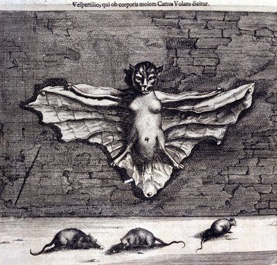 Flaggermus og rotter. "De China Monumenta" av Athanasius Kircher av Unknown artist