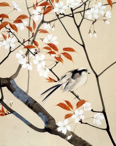 Fugl og kirsebærtre i blomst - japansk tegning av Riou Chim, sent på 1800-tallet av Unknown artist