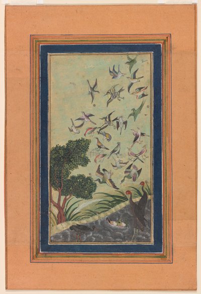 Fugler ved Baran, muligens fra Babur-nama av Unknown artist
