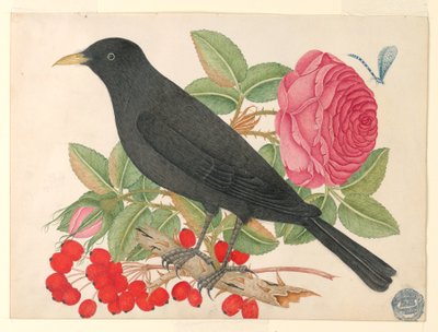 Svart fugl med roser av Unknown artist