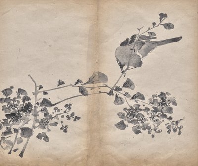 Blomstrer av Unknown artist