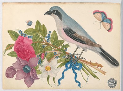 Blå fugl på bukett med roser og tulipaner, med sommerfugler av Unknown artist