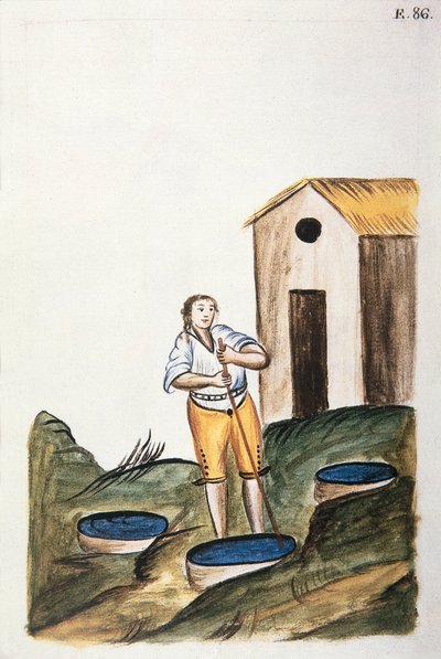 Blå fargebrett brukt til å farge ull, fra boken "Trujillo of Peru" eller "Codex Martinez Companion", av Baltazar Martinez Companion og Bujanda, biskop av Trujillo (1782-1785) av Unknown artist