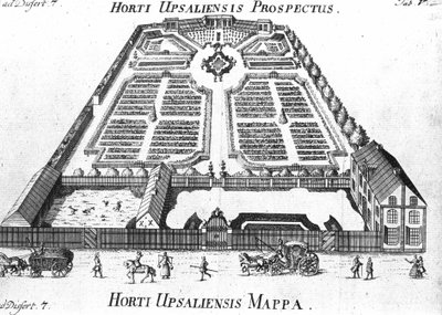 Botanisk hage - HORTI UPSALIENSIS prospektiv og plan. av Unknown artist