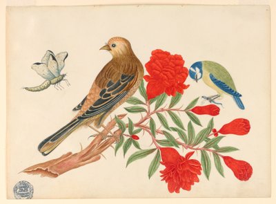 Brun-og-svart fugl og blå-og-gul fugl på gren med røde blomster, jaktinsekter av Unknown artist