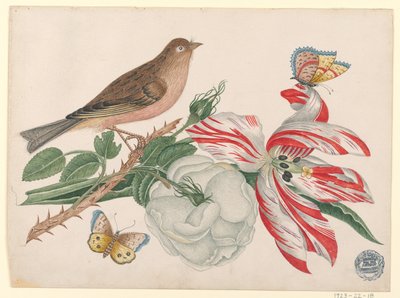 Brun fugl på gren med rose, tulipan og insekter av Unknown artist