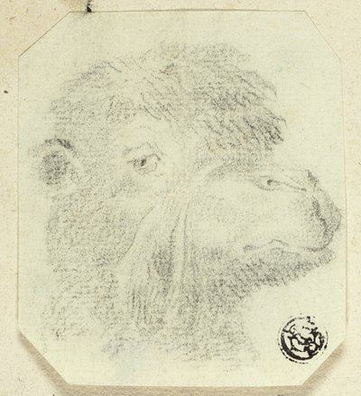 Kamelhode vendt mot høyre av Unknown artist