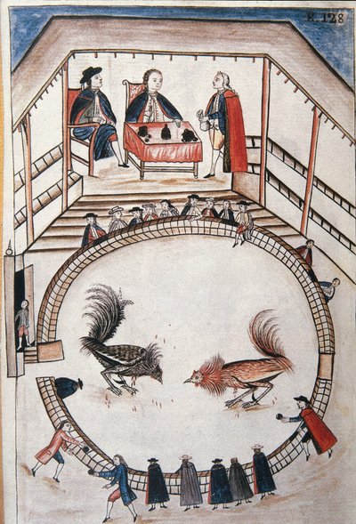 Hanekamp, ​​en adel deltar i duellen, fra boken "Trujillo del Peru" eller "Códice Martínez Compañón", av Baltazar Martinez Compañón y Bujanda, biskop av Trujillo (1782-1785) av Unknown artist