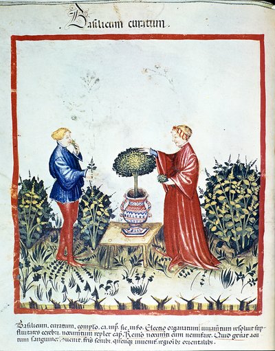 Samle basilikum. Belysning fra handelen med medisin og kosthold "" Tacuinum sanitatis"" etter handelen med medisin "" Kitabtaqwim as-sihha"" ("Kitabtaqwim as sihha") av Ibn Butlan av Unknown artist