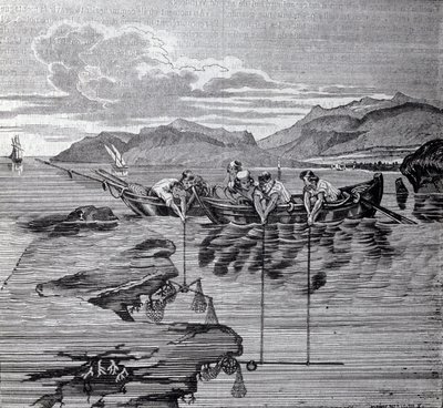 Korallfiske ved hjelp av salaber og redskap. av Unknown artist
