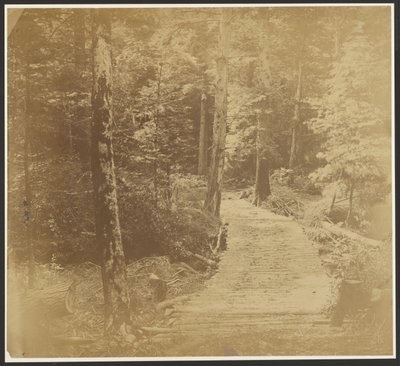 [Corduroy Road på vei til Harper#39;s Ferry.] av Unknown artist