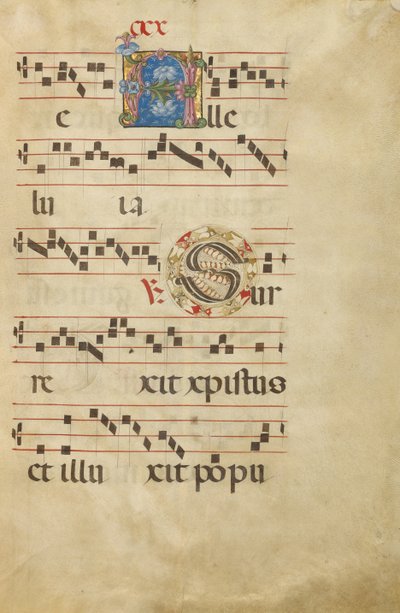 Dekorert initial A; Dekorert initial S av Unknown artist