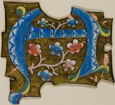 Dekorert initial «A» i blått med blader fra et manuskript av Unknown artist
