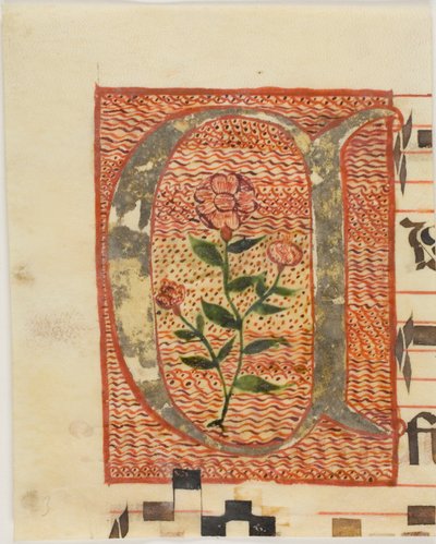 Dekorert initial «A» med blomst fra et manuskript av Unknown artist
