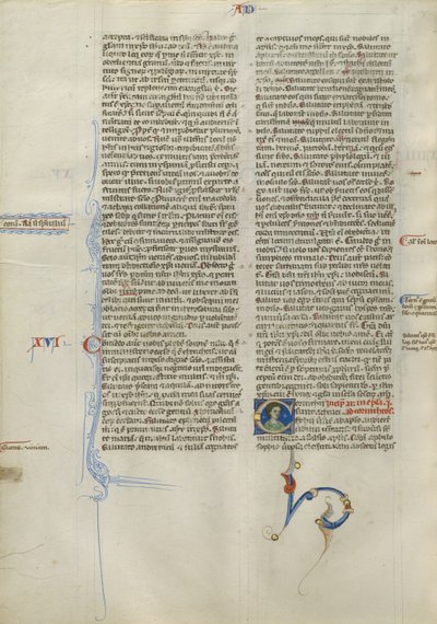 Dekorert initial C av Unknown artist