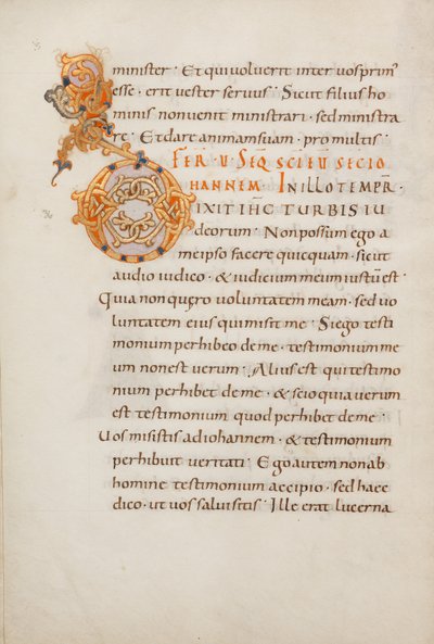 Dekorert initial D av Unknown artist