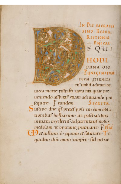 Dekorert initial D av Unknown artist